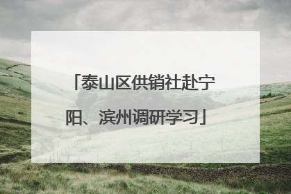 泰山区供销社赴宁阳、滨州调研学习