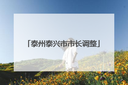泰州泰兴市市长调整