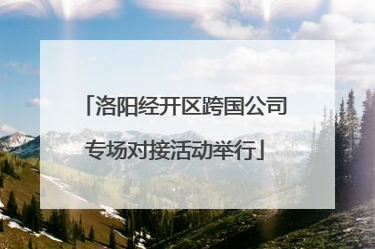洛阳经开区跨国公司专场对接活动举行