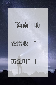 海南：助农增收 “黄金叶”