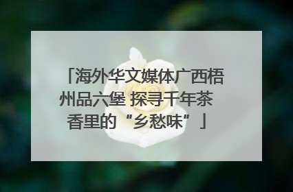 海外华文媒体广西梧州品六堡 探寻千年茶香里的“乡愁味”