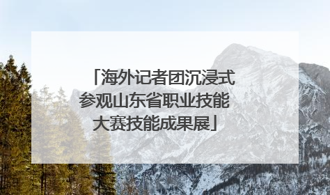 海外记者团沉浸式参观山东省职业技能大赛技能成果展