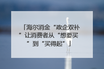 海尔消金“政企双补”让消费者从“想要买”到“买得起”