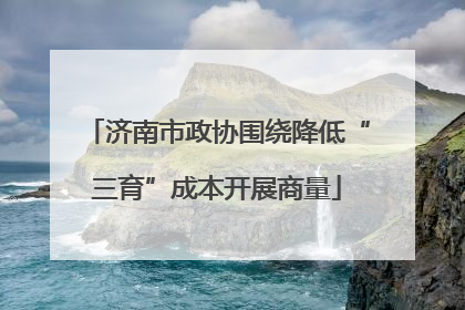 济南市政协围绕降低“三育”成本开展商量