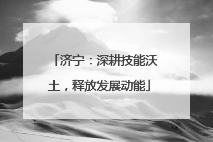 济宁：深耕技能沃土，释放发展动能