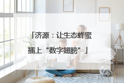 济源：让生态蜂蜜插上“数字翅膀”