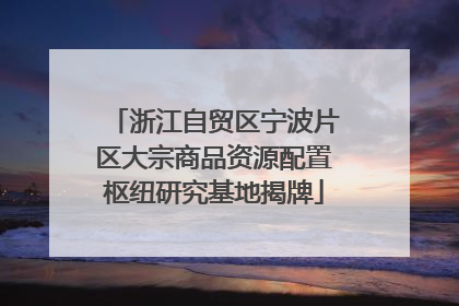 浙江自贸区宁波片区大宗商品资源配置枢纽研究基地揭牌