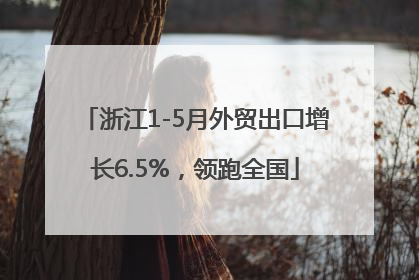 浙江1-5月外贸出口增长6.5%，领跑全国