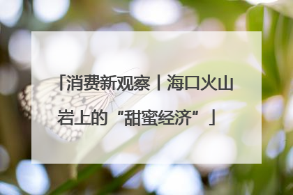 消费新观察丨海口火山岩上的“甜蜜经济”