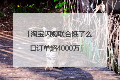 淘宝闪购联合饿了么日订单超4000万