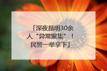 深夜昆明30余人“异常聚集”！民警一举拿下