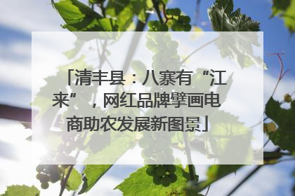 清丰县：八寨有“江来”，网红品牌擘画电商助农发展新图景