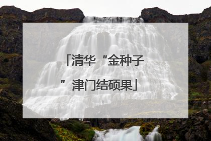 清华“金种子”津门结硕果