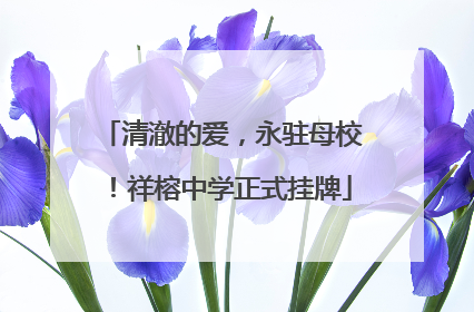 清澈的爱，永驻母校！祥榕中学正式挂牌