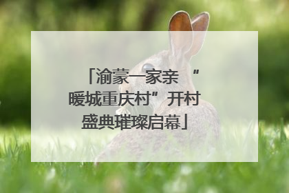 渝蒙一家亲 “暖城重庆村”开村盛典璀璨启幕