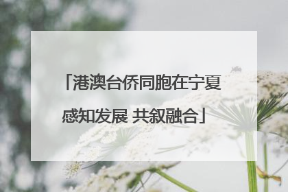 港澳台侨同胞在宁夏感知发展 共叙融合