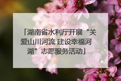 湖南省水利厅开展“关爱山川河流 建设幸福河湖”志愿服务活动