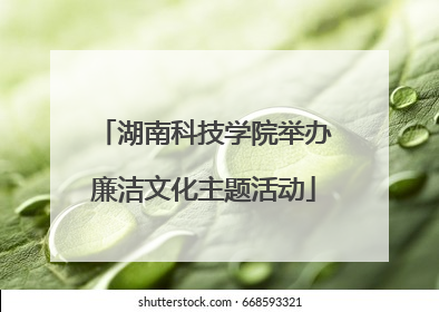 湖南科技学院举办廉洁文化主题活动