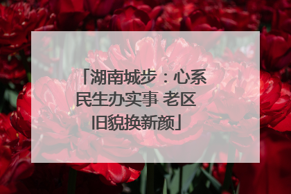 湖南城步：心系民生办实事 老区旧貌换新颜