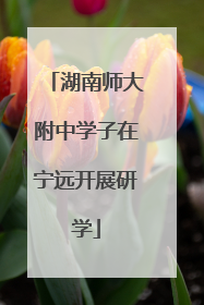 湖南师大附中学子在宁远开展研学