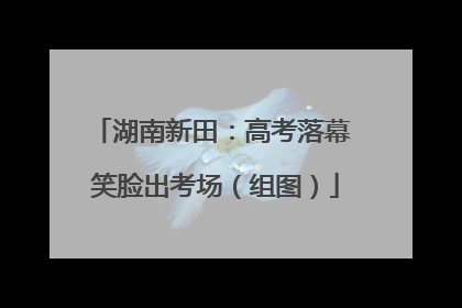 湖南新田：高考落幕 笑脸出考场（组图）