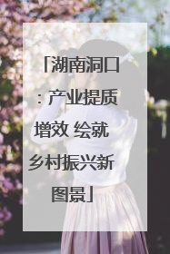 湖南洞口：产业提质增效 绘就乡村振兴新图景