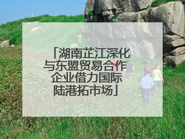 湖南芷江深化与东盟贸易合作 企业借力国际陆港拓市场