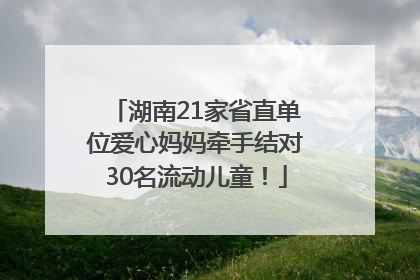 湖南21家省直单位爱心妈妈牵手结对30名流动儿童！