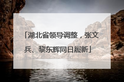 湖北省领导调整，张文兵、黎东辉同日履新