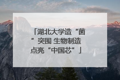 湖北大学造“菌”突围 生物制造点亮“中国芯”