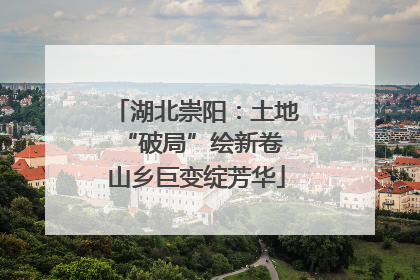 湖北崇阳：土地“破局”绘新卷 山乡巨变绽芳华