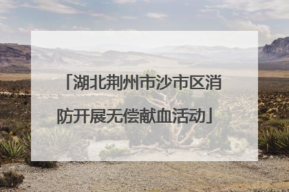 湖北荆州市沙市区消防开展无偿献血活动