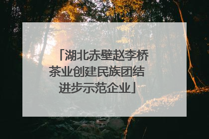 湖北赤壁赵李桥茶业创建民族团结进步示范企业