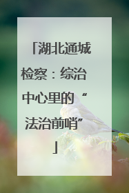湖北通城检察：综治中心里的“法治前哨”