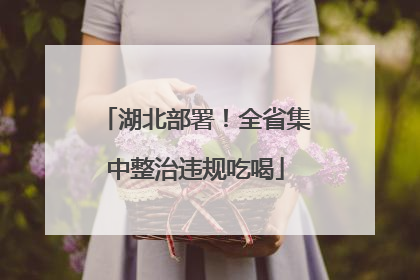 湖北部署！全省集中整治违规吃喝