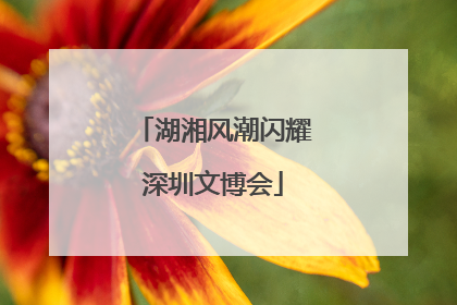 湖湘风潮闪耀深圳文博会