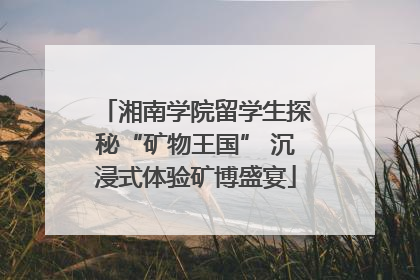 湘南学院留学生探秘“矿物王国” 沉浸式体验矿博盛宴