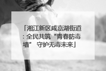 湘江新区咸嘉湖街道：全民共筑“青春防毒墙” 守护无毒未来