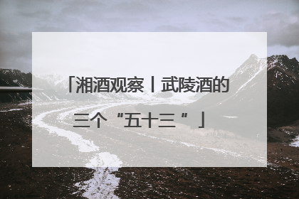 湘酒观察丨武陵酒的三个“五十三 ”