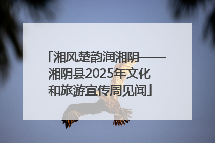 湘风楚韵润湘阴——湘阴县2025年文化和旅游宣传周见闻