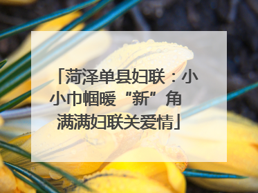 菏泽单县妇联：小小巾帼暖“新”角 满满妇联关爱情