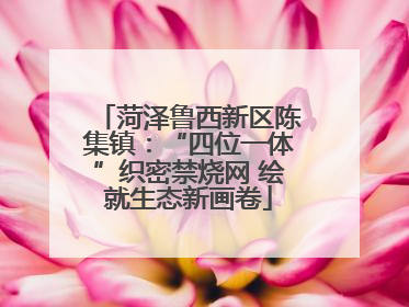 菏泽鲁西新区陈集镇：“四位一体”织密禁烧网 绘就生态新画卷