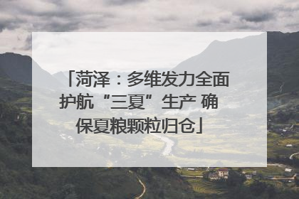 菏泽：多维发力全面护航“三夏”生产 确保夏粮颗粒归仓