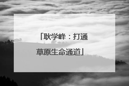 耿学峰：打通草原生命通道