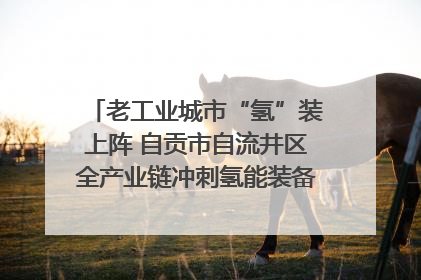 老工业城市“氢”装上阵 自贡市自流井区全产业链冲刺氢能装备制造新高地｜美好生活有“盐”味