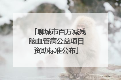 聊城市百万减残脑血管病公益项目资助标准公布