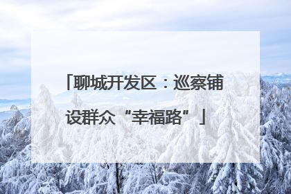 聊城开发区：巡察铺设群众“幸福路”