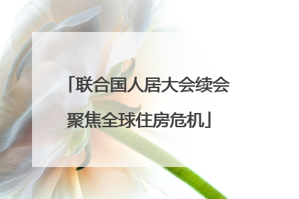 联合国人居大会续会聚焦全球住房危机