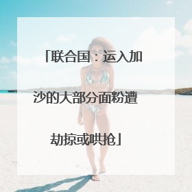 联合国：运入加沙的大部分面粉遭劫掠或哄抢