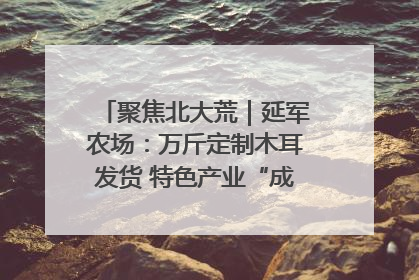 聚焦北大荒｜延军农场：万斤定制木耳发货 特色产业“成绩单”亮眼
